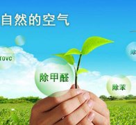 除甲醛對于住房安全和環境保護的作用有什么？