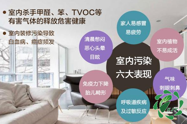 甲醛真可怕，貼壁紙竟然也會導致甲醛中毒