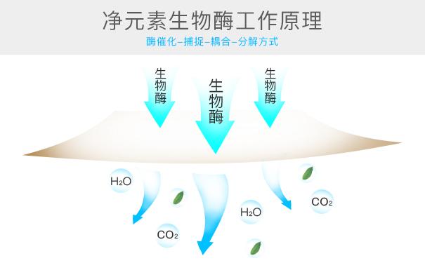 光觸媒、生物酶、空氣凈化器，哪家除甲醛公司效果好？
